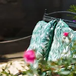 Onze Chambres&gîtes Bed & Breakfast Raissac-d'Aude