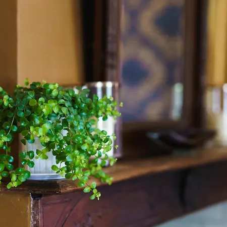 Onze & Frühstückspension Raissac-d'Aude