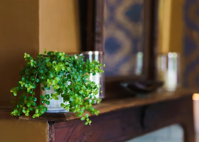 Onze & Bed & Breakfast Raissac-d'Aude