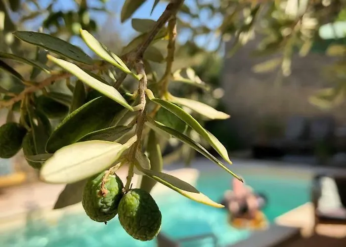 Bed & Breakfast Onze & 4*