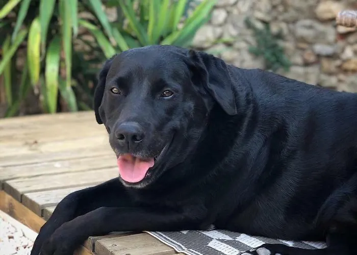 Onze & 4* Raissac-d'Aude