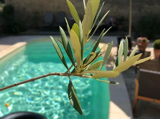 Onze & 4* Raissac-d'Aude