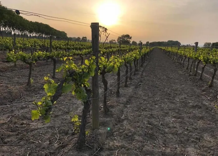 Onze & Raissac-d'Aude